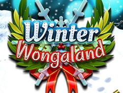 Winter Wongaland Winter Wongaland