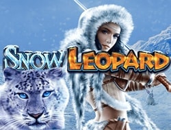 Snow Leopard Snow Leopard