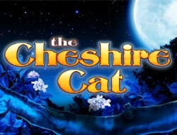 Cheshire Cat Cheshire Cat