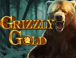 Grizzly Gold Grizzly Gold