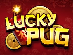 Lucky Pug Lucky Pug