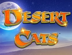 Desert Cats Desert Cats