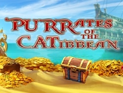 Purrates of the Catibbean Purrates of the Catibbean