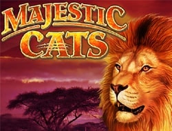 Majestic Cats Majestic Cats