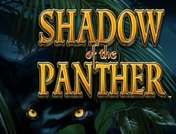 SHADOW OF THE PANTHER POWER BET SHADOW OF THE PANTHER POWER BET