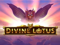 Divine Lotus Divine Lotus