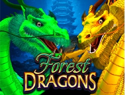 Forest Dragons Forest Dragons