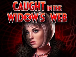 Caught in the Widows Web Caught in the Widows Web