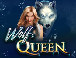 Wolf Queen Wolf Queen
