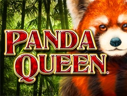 Panda Queen Panda Queen