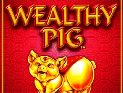 Wealthy Pig Wealthy Pig
