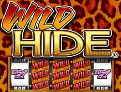 Wild Hide  Wild Hide