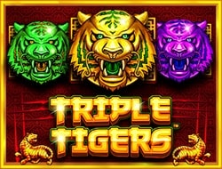 Triple Tigers Triple Tigers