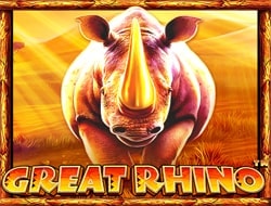 Great Rhino Great Rhino
