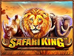 Safari King Safari King