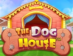 The Dog House The Dog House