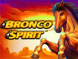 Bronco Spirit Bronco Spirit