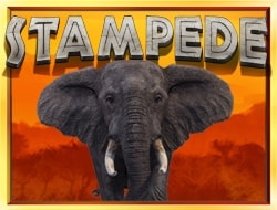 Stampede Mobile Slot Stampede Mobile Slot