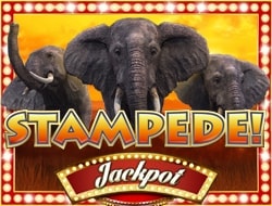 Stampede Mobile Jackpot Slot Stampede Mobile Jackpot Slot
