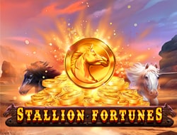 Stallion Fortunes 94 Stallion Fortunes 94