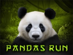 Pandas Run Pandas Run
