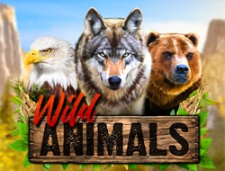 WILD ANIMALS WILD ANIMALS