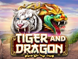 TIGER AND DRAGON TIGER AND DRAGON