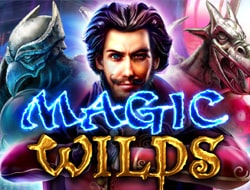 MAGIC WILDS MAGIC WILDS