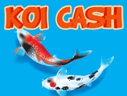 Koi Cash Koi Cash