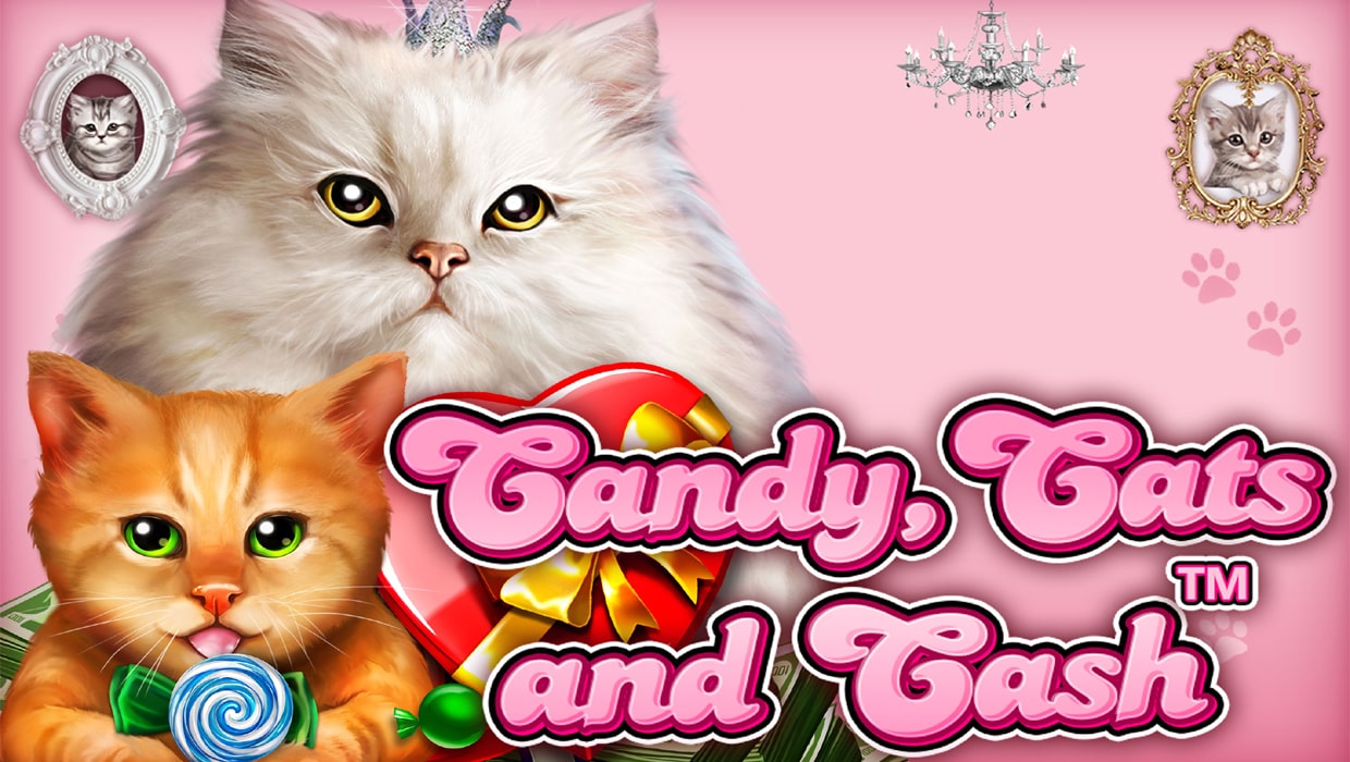 Play Candy, Cats and Cash Slots